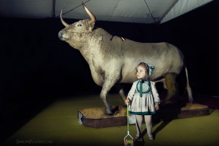 Feria Internacional del Toro Coria