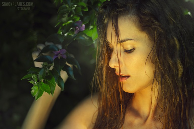 fotografía plasencia